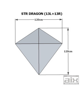 Volume Dragon