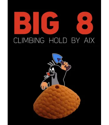 Big 8