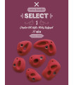 AIX Select 1