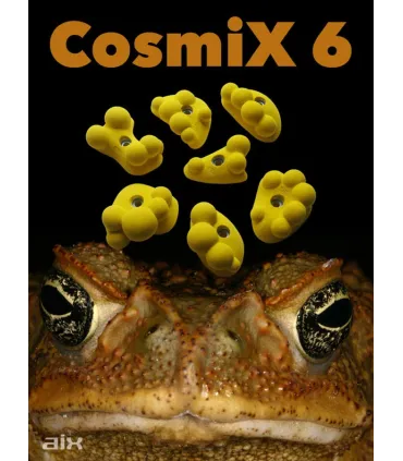 AIX CosmiX 6