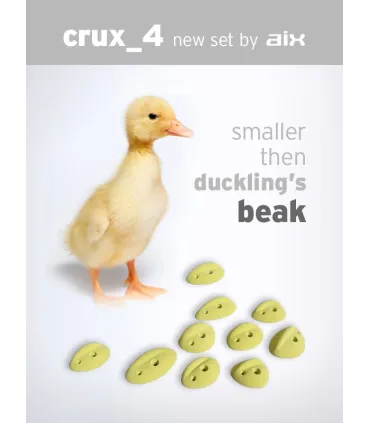 Crux 4