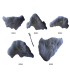 Xcult Single Set 3