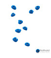 Flathold 002.05 Bigfoot XS/H