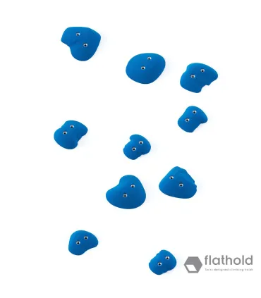 Flathold Frog S/H 010.01