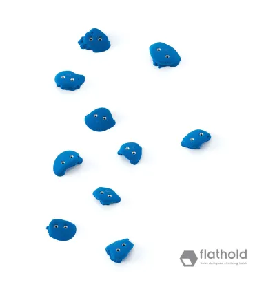 Flathold Frog S/M 010.02