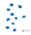 Flathold 010.02 Frog S/M