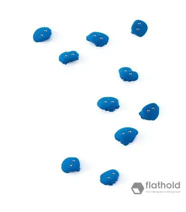 Flathold Frog S/M 010.03