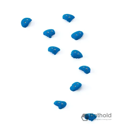 Flathold Frog S/M 010.04