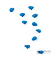 Flathold 010.04 Frog S/M