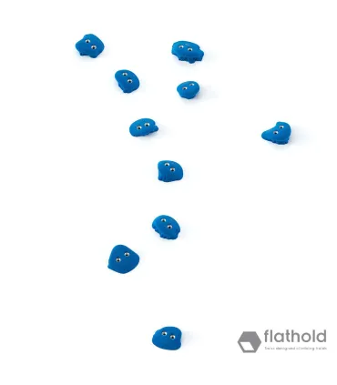 Flathold Frog XS/H 010.06