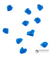 Flathold 017.07 Rustic Flowers M/M