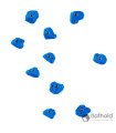Flathold 017.08 Rustic Flowers M/H