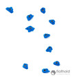 Flathold 017.09 Rustic Flowers S/M