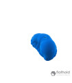 Flathold 020.01 Slug XL/M