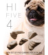 Hifive 4