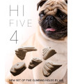 AIX HiFive 4 Slate