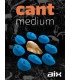 AIX Cant Medium