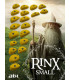 AIX RinX small
