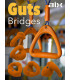 AIX Guts Bridges