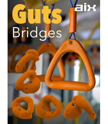 AIX Guts Bridges