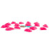 ArtLine Foot1 Bleau line PU