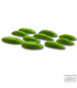 AIX Jibs 6 RinX PU