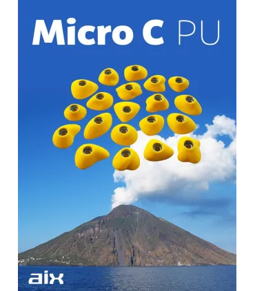 AIX Micro C PU