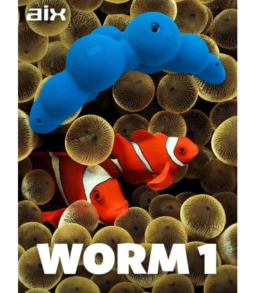 AIX Worm 1