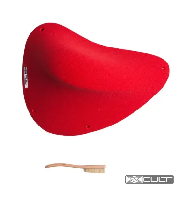 Xcult CCV Shevitsa 1
