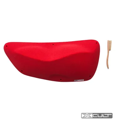 Xcult CCV Shevitsa 2
