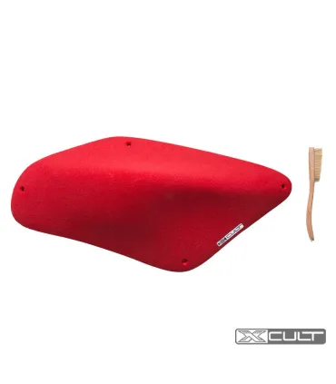 Xcult CCV Odaya 1