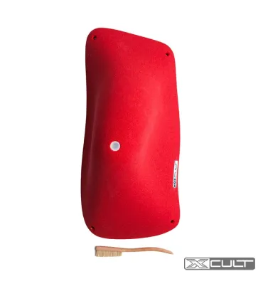 Xcult CCV Stan 4