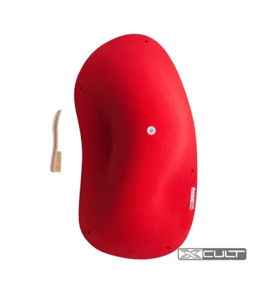 Xcult CCV Stan 1
