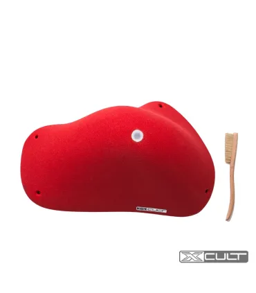 Xcult CCV Yurgan 1