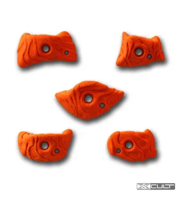 Xcult Acari