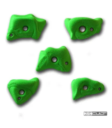 Xcult Cocoon