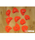 Xcult Crimps 3