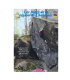 Bouldering guide Les Blocs de la Région de Chamonix