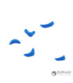 Flathold 025.18 Tokyo 2020 S/H