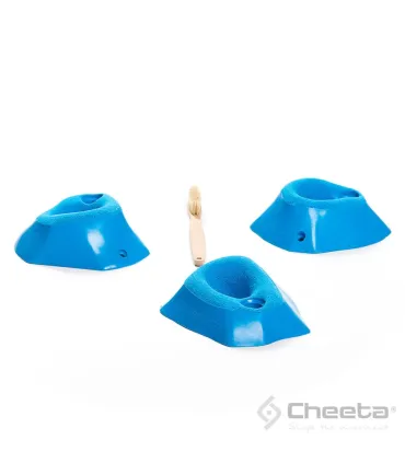 Cheeta Cook M2 019.02.M-H