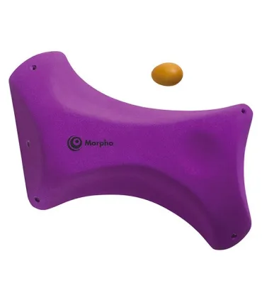Morpho Bone