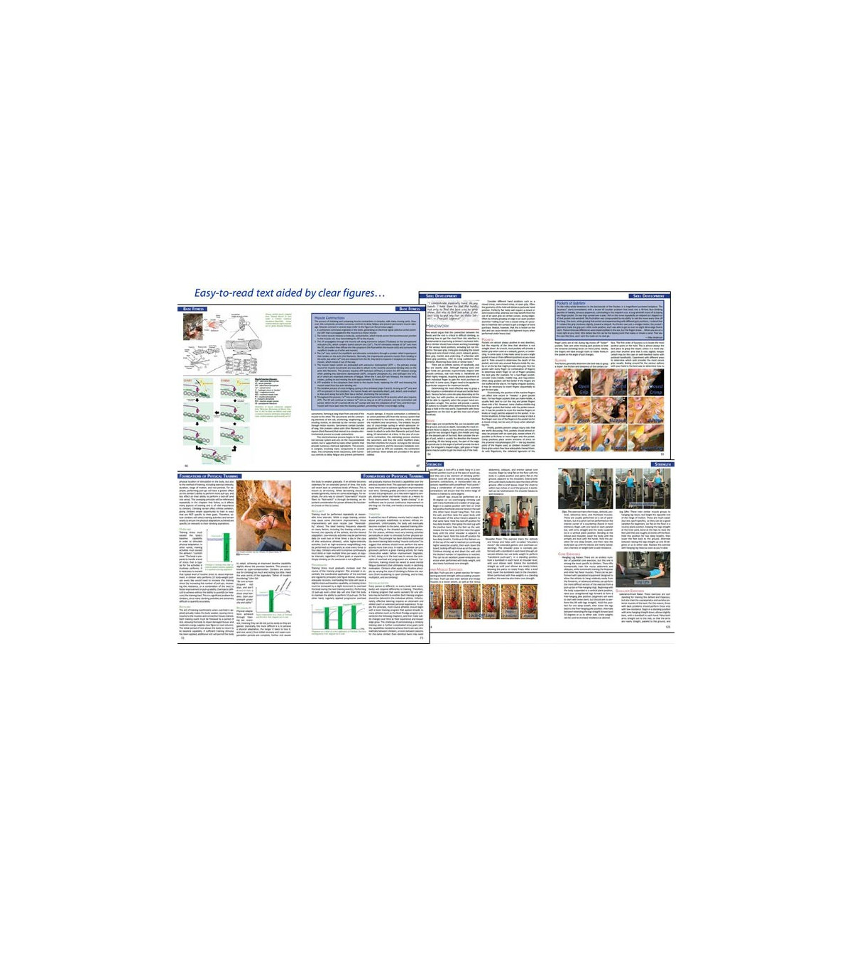 The Rock Climber's Training Manual