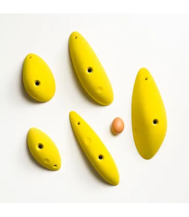 Morpho Capsules