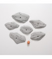 Morpho Fractions H-008