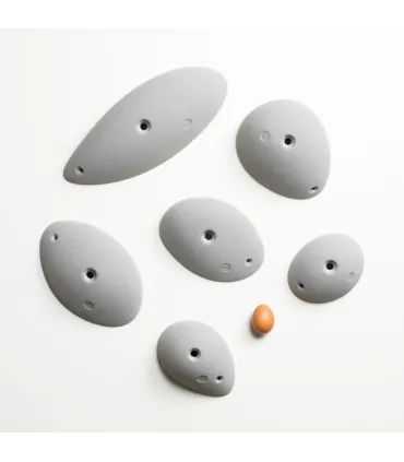 Morpho Cocoons
