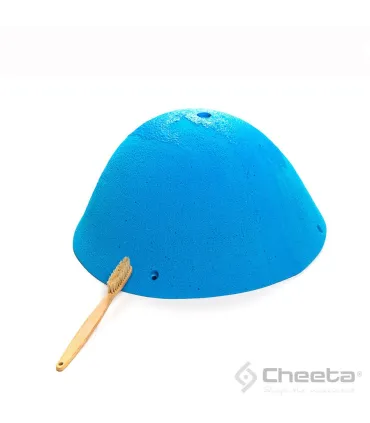 Cheeta 2018 MEG2 100.02 MEG-H