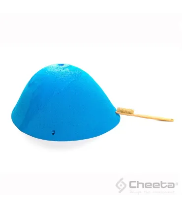 Cheeta 2018 MEG2 100.02 MEG-H