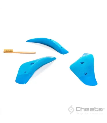 Cheeta Boomerang Song L5 021.05.L-E