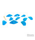 Cheeta Boomerang Element 021.05.S-M