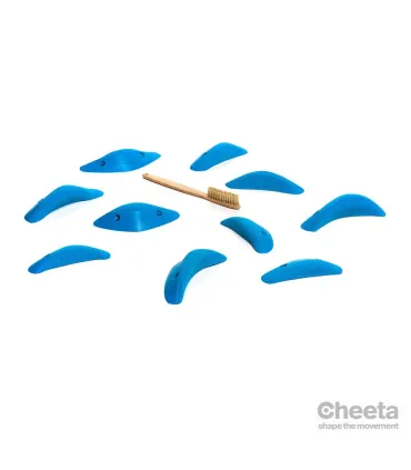 Cheeta Boomerang Station  021.04.S-M